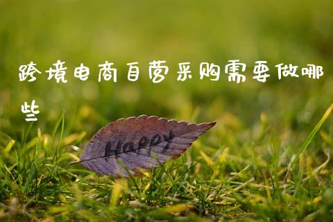 跨境电商自营采购需要做哪些_https://m.ycdhulan.com_股市在线_第1张