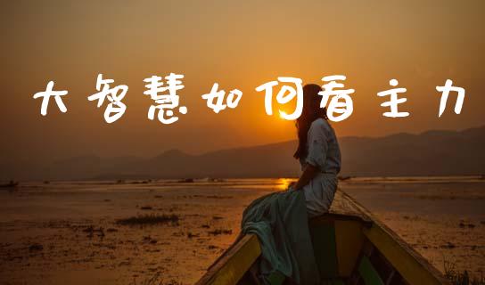 大智慧如何看主力_https://m.ycdhulan.com_期货交易_第1张