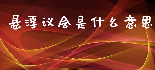 悬浮议会是什么意思_https://m.ycdhulan.com_财经要闻_第1张