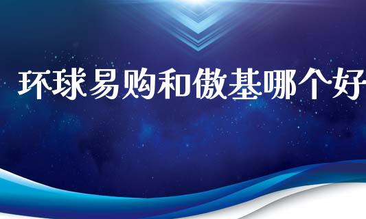 环球易购和傲基哪个好_https://m.ycdhulan.com_理财产品_第1张