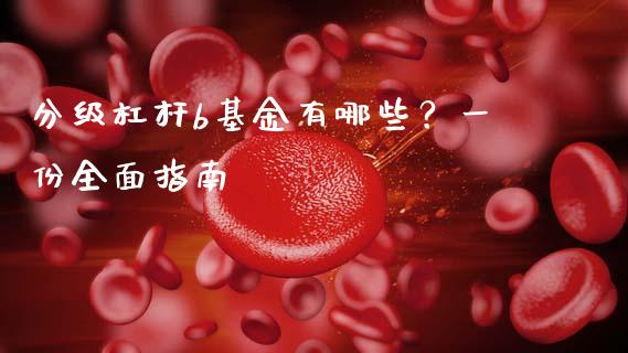 分级杠杆b基金有哪些？一份全面指南_https://m.ycdhulan.com_证券新闻_第1张