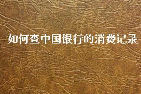 如何查中国银行的消费记录_https://m.ycdhulan.com_财经要闻_第1张