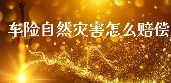 车险自然灾害怎么赔偿_https://m.ycdhulan.com_股市在线_第1张
