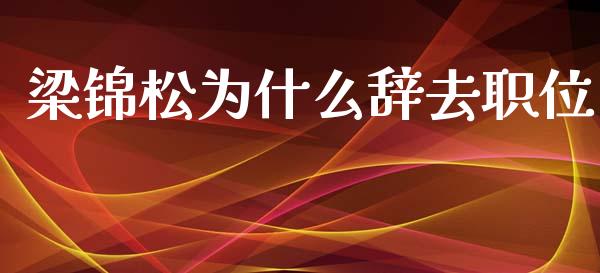 梁锦松为什么辞去职位_https://m.ycdhulan.com_国际金融_第1张