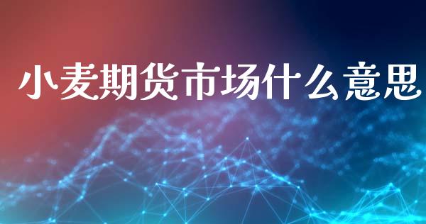 小麦期货市场什么意思_https://m.ycdhulan.com_财经要闻_第1张