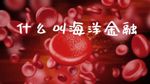 什么叫海洋金融_https://m.ycdhulan.com_股市在线_第1张