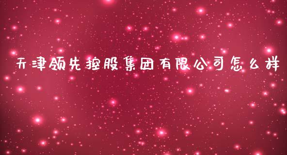 天津领先控股集团有限公司怎么样_https://m.ycdhulan.com_理财产品_第1张