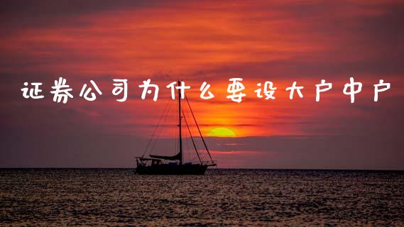 证券公司为什么要设大户中户_https://m.ycdhulan.com_证券新闻_第1张