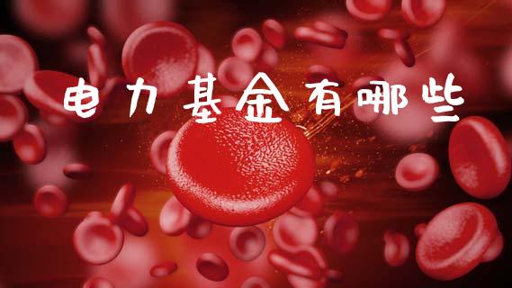 电力基金有哪些_https://m.ycdhulan.com_证券新闻_第1张