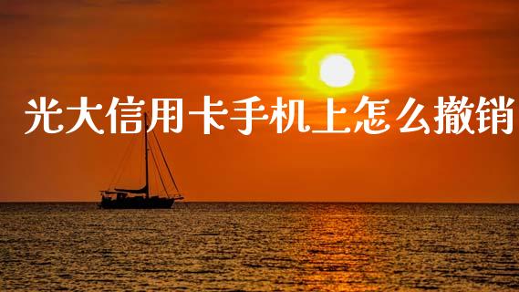 光大信用卡手机上怎么撤销_https://m.ycdhulan.com_国际金融_第1张
