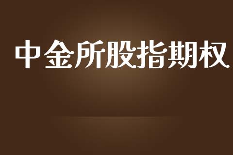 中金所股指期权_https://m.ycdhulan.com_理财产品_第1张