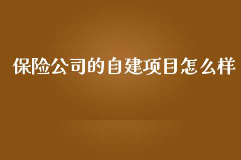 保险公司的自建项目怎么样_https://m.ycdhulan.com_理财产品_第1张