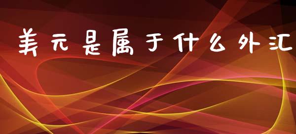 美元是属于什么外汇_https://m.ycdhulan.com_证券新闻_第1张