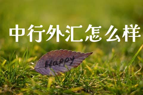 中行外汇怎么样_https://m.ycdhulan.com_股市在线_第1张