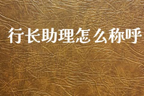行长助理怎么称呼_https://m.ycdhulan.com_国际金融_第1张