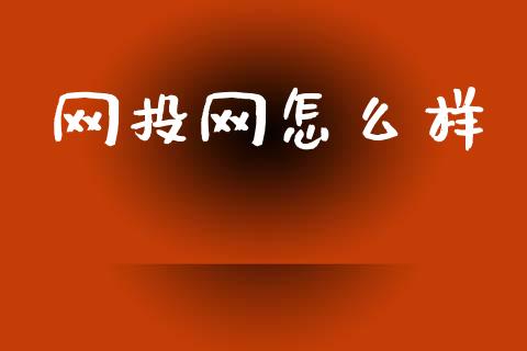 网投网怎么样_https://m.ycdhulan.com_国际金融_第1张