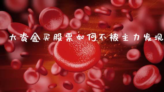 大资金买股票如何不被主力发现_https://m.ycdhulan.com_证券新闻_第1张