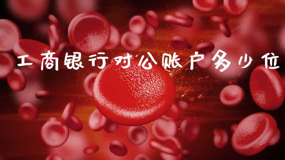 工商银行对公账户多少位_https://m.ycdhulan.com_财经要闻_第1张