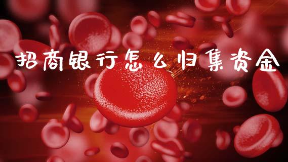 招商银行怎么归集资金_https://m.ycdhulan.com_股市在线_第1张