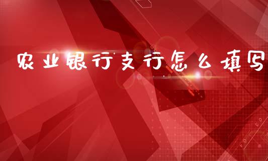 农业银行支行怎么填写_https://m.ycdhulan.com_股市在线_第1张