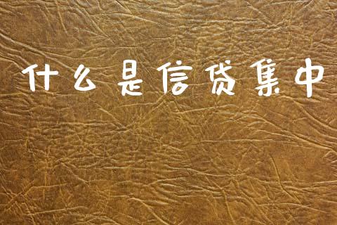 什么是信贷集中_https://m.ycdhulan.com_股市在线_第1张