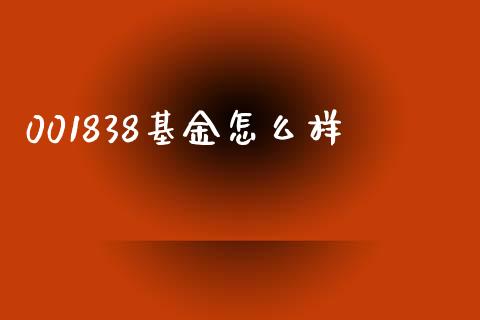 001838基金怎么样_https://m.ycdhulan.com_财经要闻_第1张