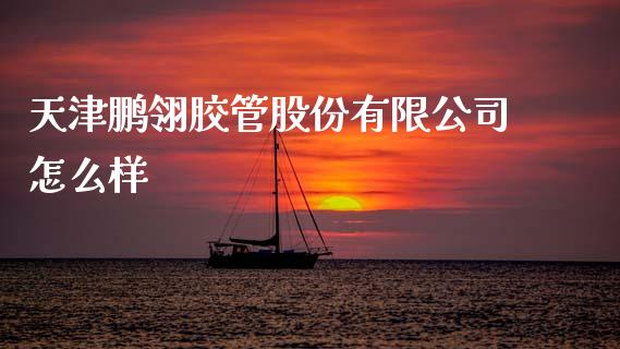 天津鹏翎胶管股份有限公司怎么样_https://m.ycdhulan.com_理财产品_第1张