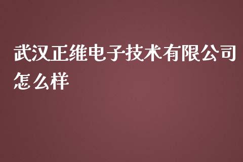武汉正维电子技术有限公司怎么样_https://m.ycdhulan.com_股市在线_第1张