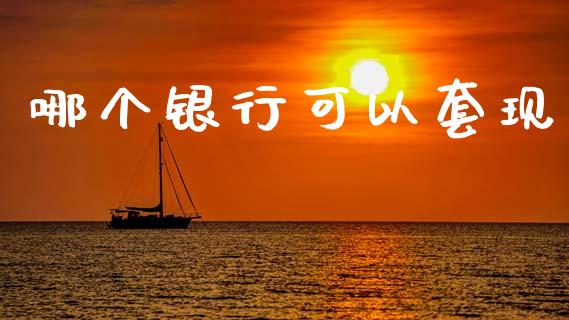 哪个银行可以套现_https://m.ycdhulan.com_财经要闻_第1张