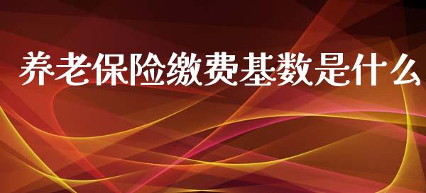 养老保险缴费基数是什么_https://m.ycdhulan.com_国际金融_第1张