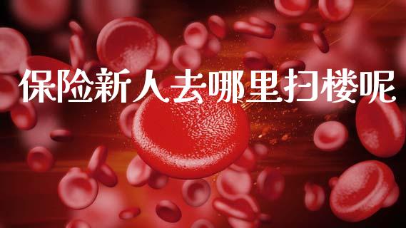 保险新人去哪里扫楼呢_https://m.ycdhulan.com_财经要闻_第1张