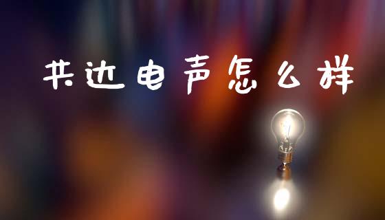共达电声怎么样_https://m.ycdhulan.com_期货交易_第1张