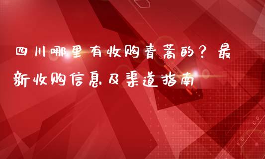 四川哪里有收购青蒿的？最新收购信息及渠道指南_https://m.ycdhulan.com_财经要闻_第1张