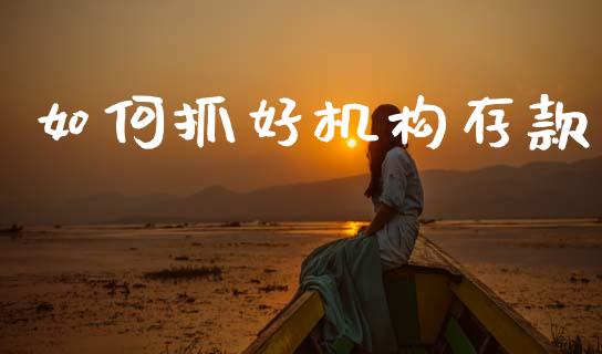 如何抓好机构存款_https://m.ycdhulan.com_股市在线_第1张