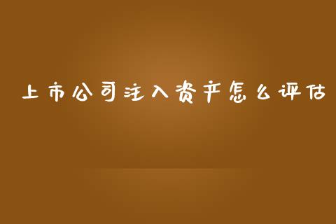 上市公司注入资产怎么评估_https://m.ycdhulan.com_财经要闻_第1张