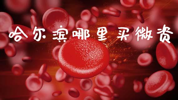 哈尔滨哪里买微资_https://m.ycdhulan.com_证券新闻_第1张