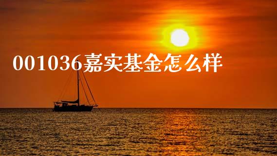 001036嘉实基金怎么样_https://m.ycdhulan.com_理财产品_第1张