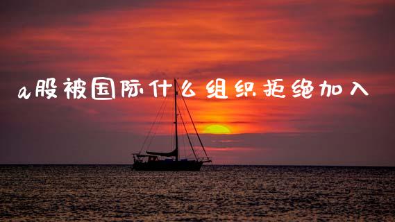 a股被国际什么组织拒绝加入_https://m.ycdhulan.com_财经要闻_第1张