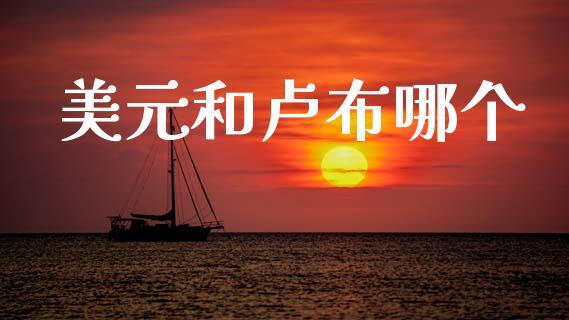 美元和卢布哪个_https://m.ycdhulan.com_财经要闻_第1张