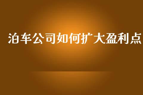 泊车公司如何扩大盈利点_https://m.ycdhulan.com_理财产品_第1张
