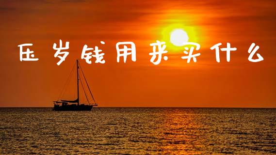 压岁钱用来买什么_https://m.ycdhulan.com_财经要闻_第1张