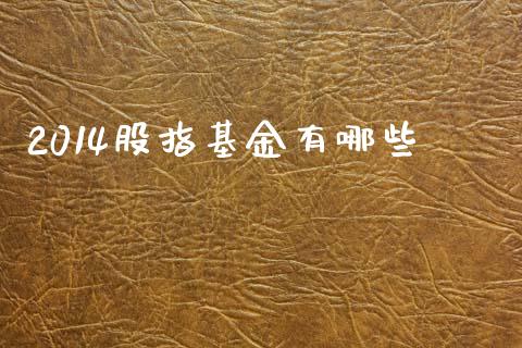 2014股指基金有哪些_https://m.ycdhulan.com_股市在线_第1张