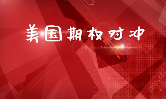 美国期权对冲_https://m.ycdhulan.com_期货交易_第1张