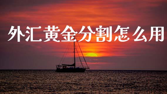 外汇黄金分割怎么用_https://m.ycdhulan.com_国际金融_第1张