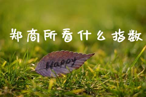 郑商所看什么指数_https://m.ycdhulan.com_股市在线_第1张