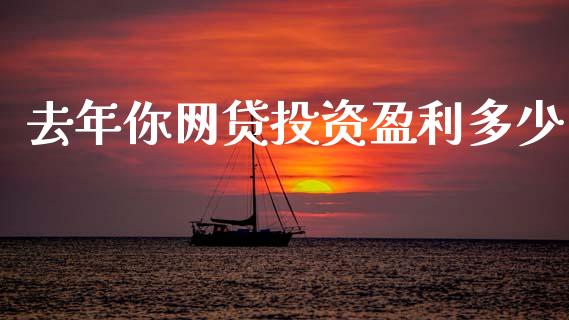 去年你网贷投资盈利多少_https://m.ycdhulan.com_期货交易_第1张