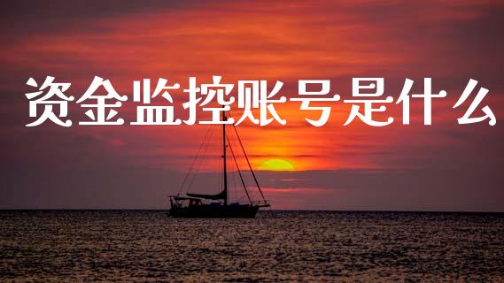 资金监控账号是什么_财经要闻_第1张_财经要闻_股市在线_理财产品_国际金融 资金监控账号是什么_https://m.ycdhulan.com_财经要闻_第1张