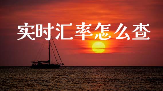 实时汇率怎么查_https://m.ycdhulan.com_国际金融_第1张