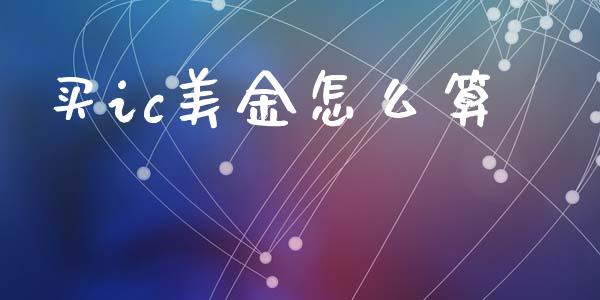 买ic美金怎么算_https://m.ycdhulan.com_财经要闻_第1张