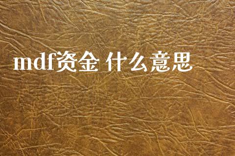 mdf资金 什么意思_https://m.ycdhulan.com_国际金融_第1张